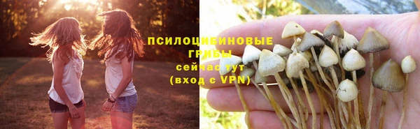 кокаин Ладушкин