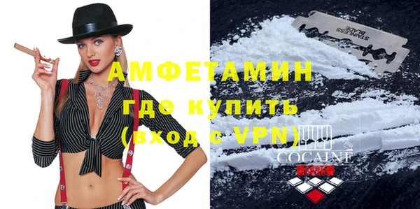 шишки Кулебаки