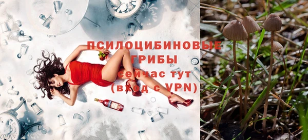 кокаин Ладушкин