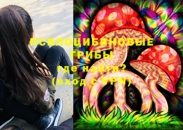 СК Куйбышев
