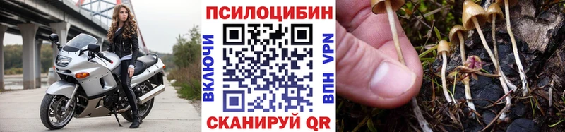 Галлюциногенные грибы мицелий купить закладку Янаул