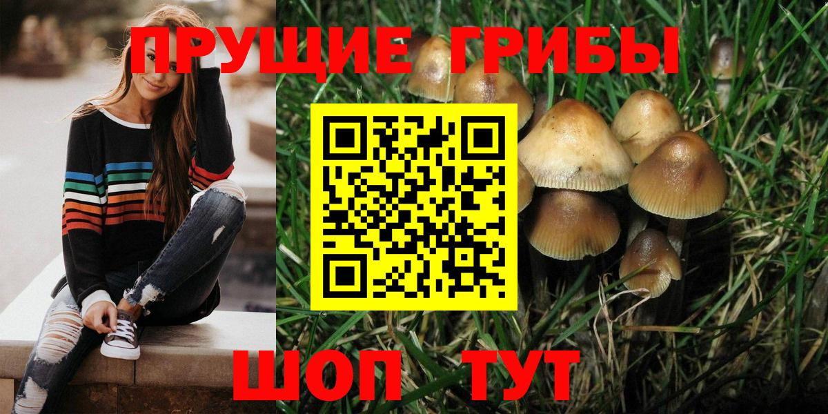 Янаул  где купить   Вход с VPN  Галлюциногенные грибы Cubensis  Псилоцибиновые грибы мухоморы 