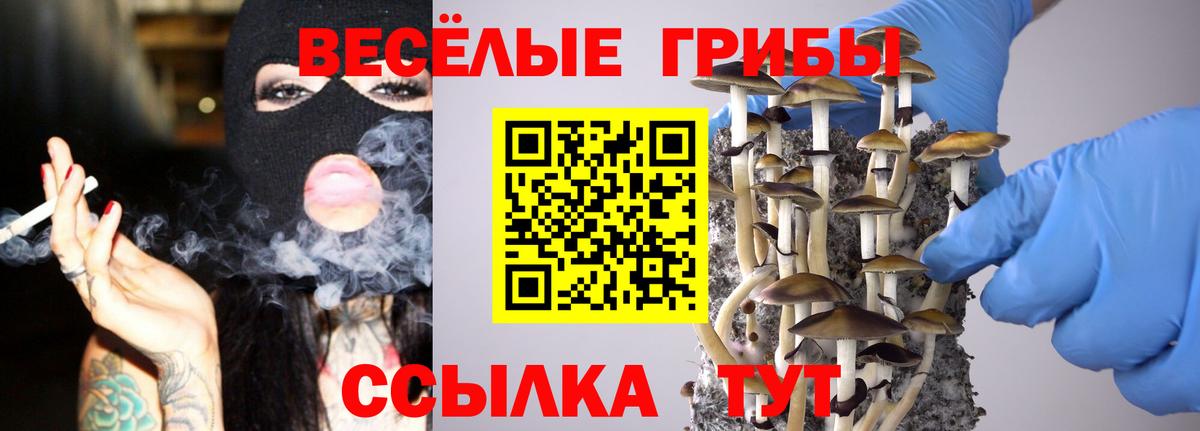 Галлюциногенные грибы мухоморы Янаул